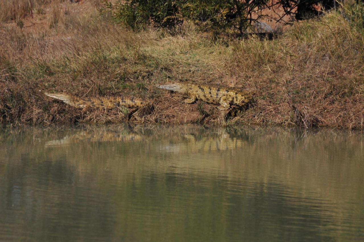 Mziki Safari Lodge Vaaldam Buitenkant foto