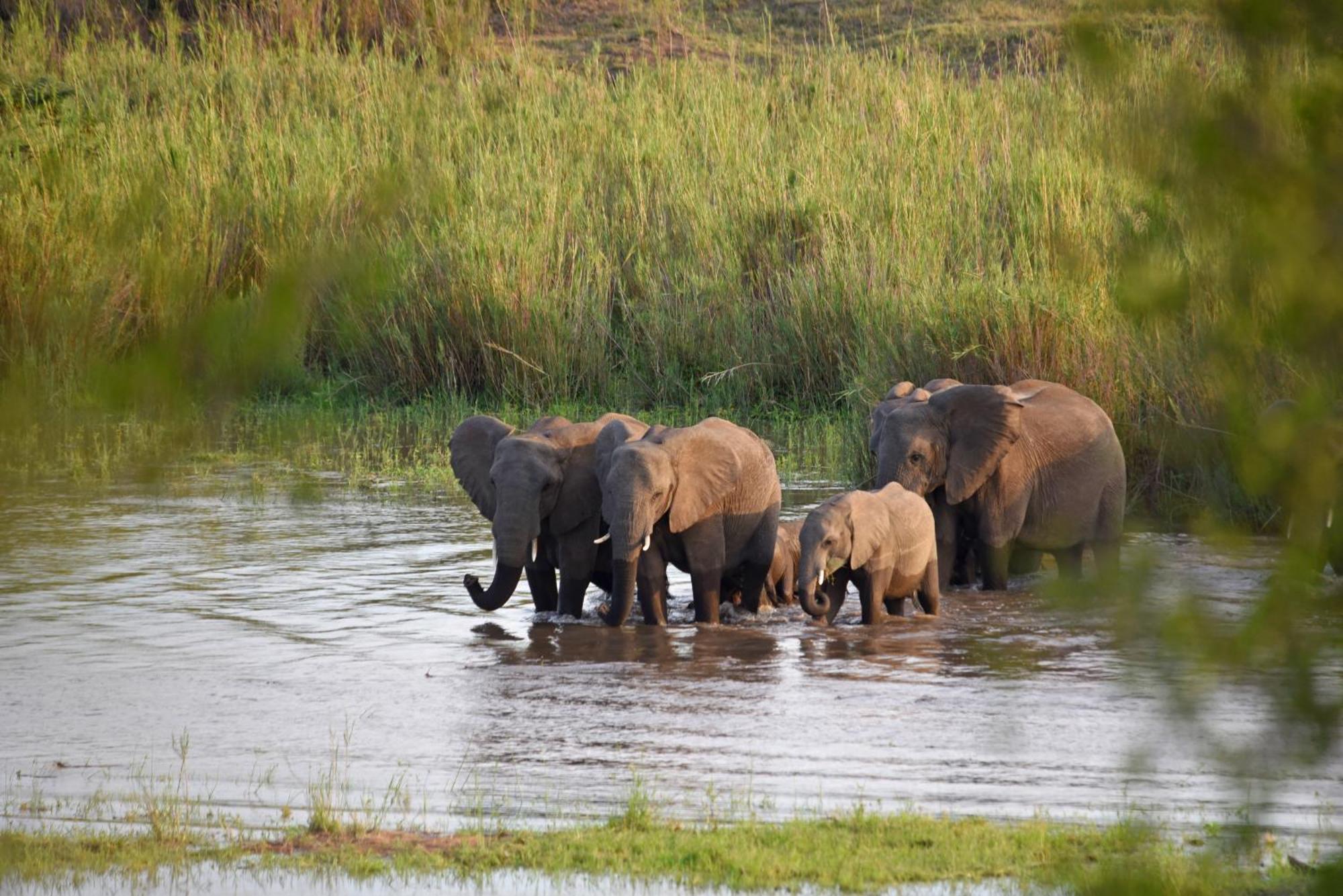 Mziki Safari Lodge Vaaldam Buitenkant foto